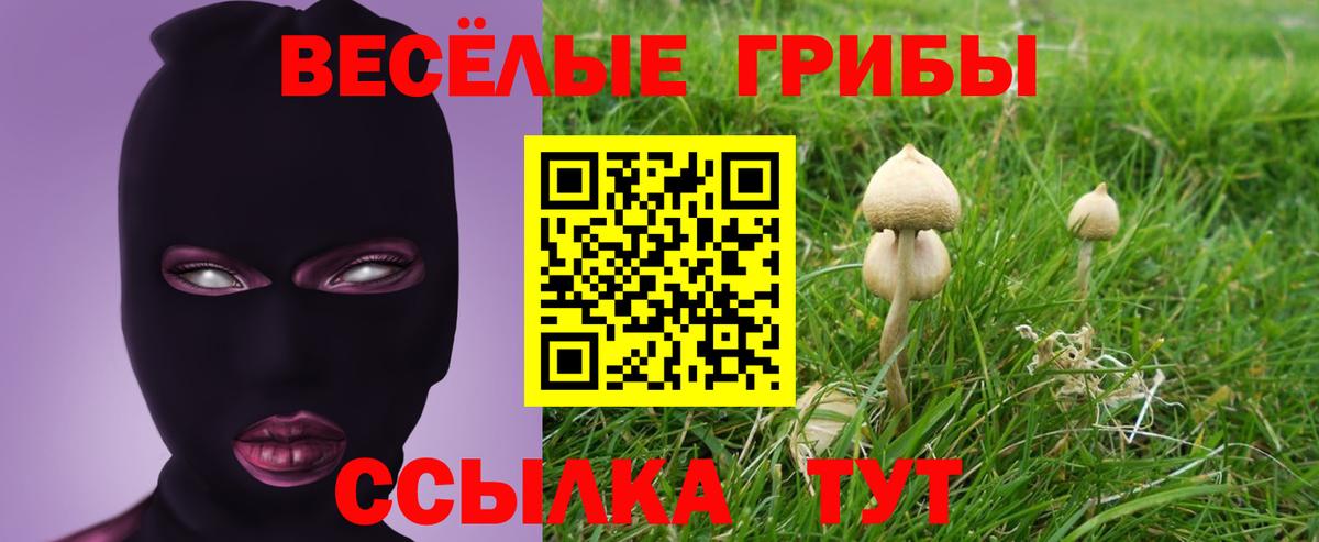 Псилоцибиновые грибы GOLDEN TEACHER  Вход с VPN  как найти   Галлюциногенные грибы GOLDEN TEACHER  Верхний Уфалей 